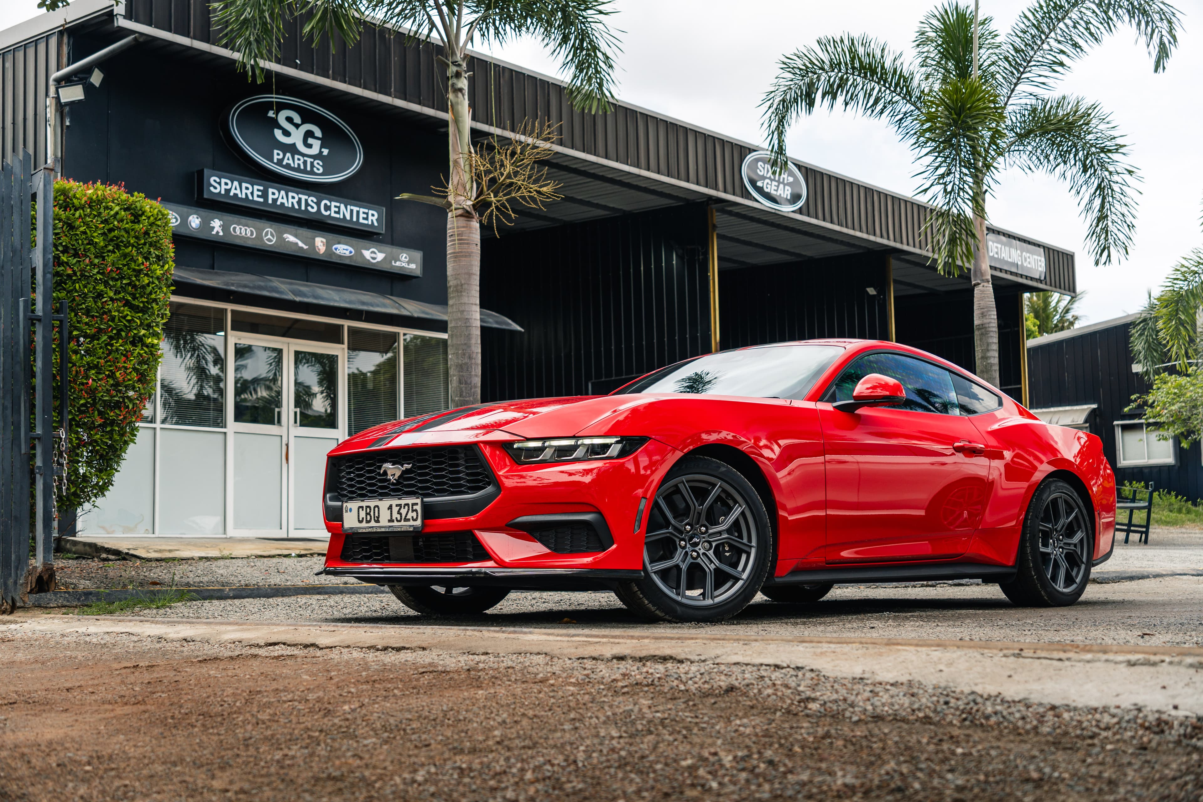 Luxury Car Detail
